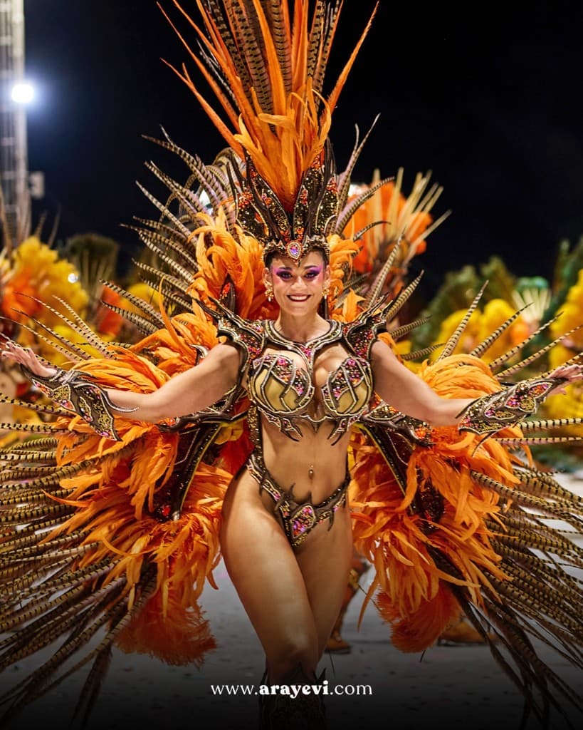 Integrante carnaval